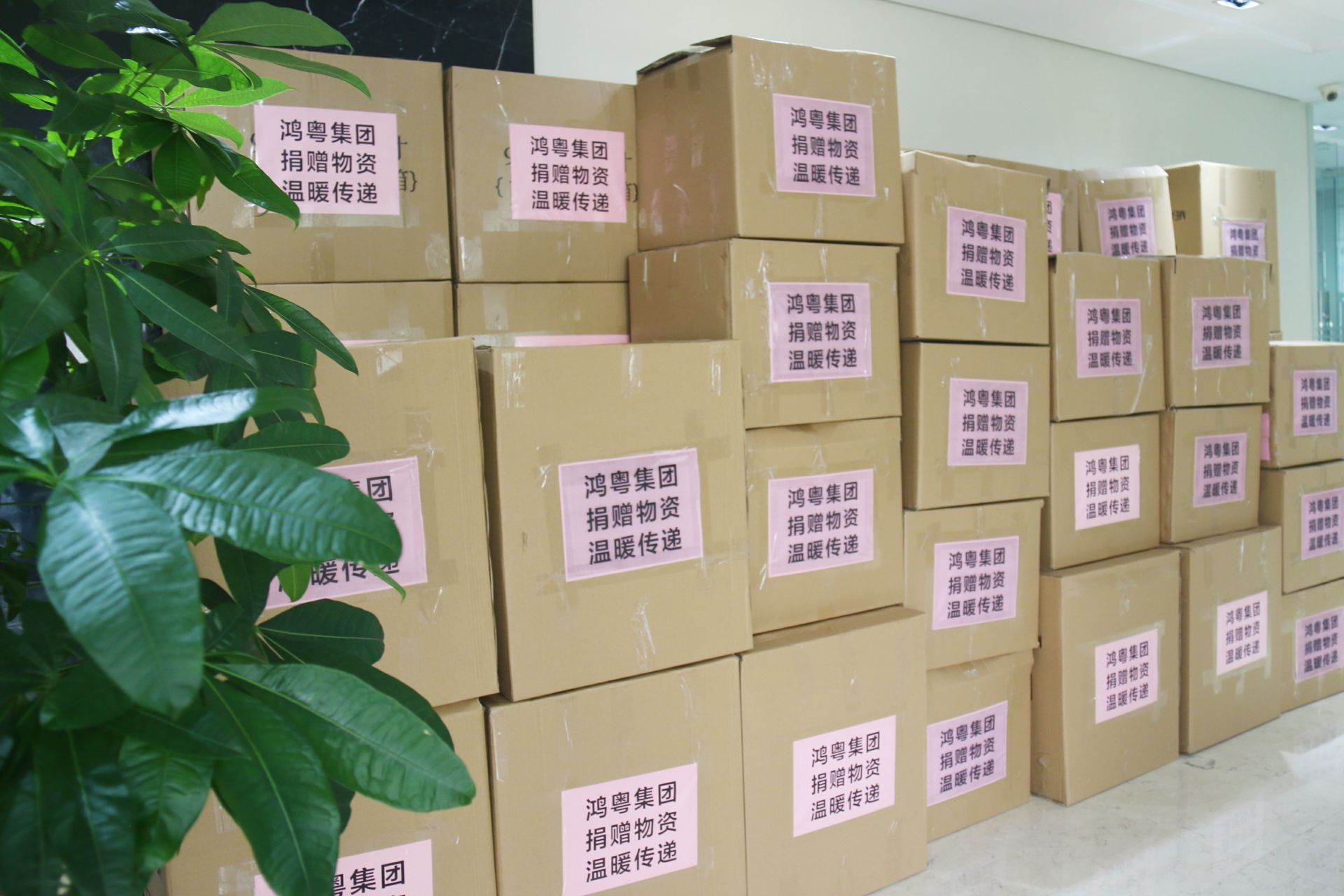 Z6·尊龙凯时「中国」官方网站公益回顾丨家国同欢月同圆 温暖满载甘孜州(图1)